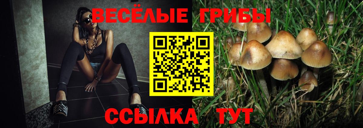 Галлюциногенные грибы прущие грибы  Вход с VPN  Свободный 